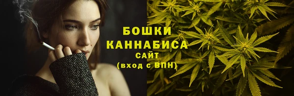 прущая мука Богородск