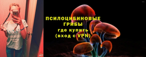 прущая мука Богородск