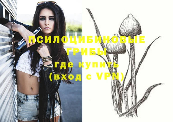 амфетамин Богданович