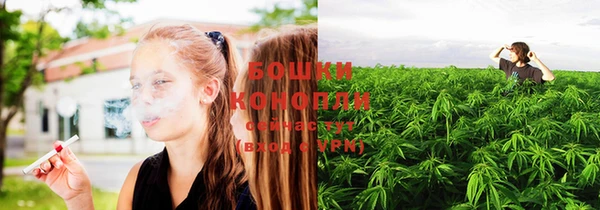 прущая мука Богородск