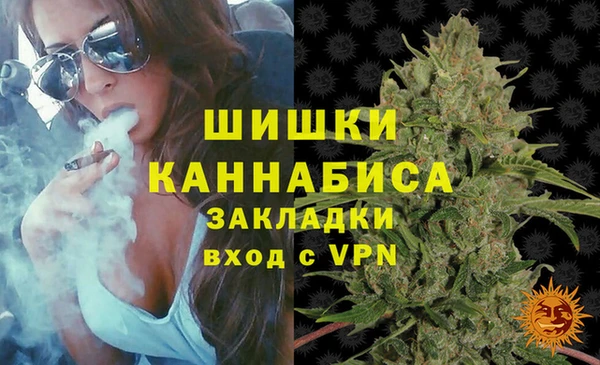 первитин Богородицк