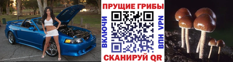 hydra ONION Екатеринбург Галлюциногенные грибы прущие грибы купить